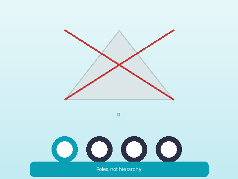 Roles exist, not hierarchy